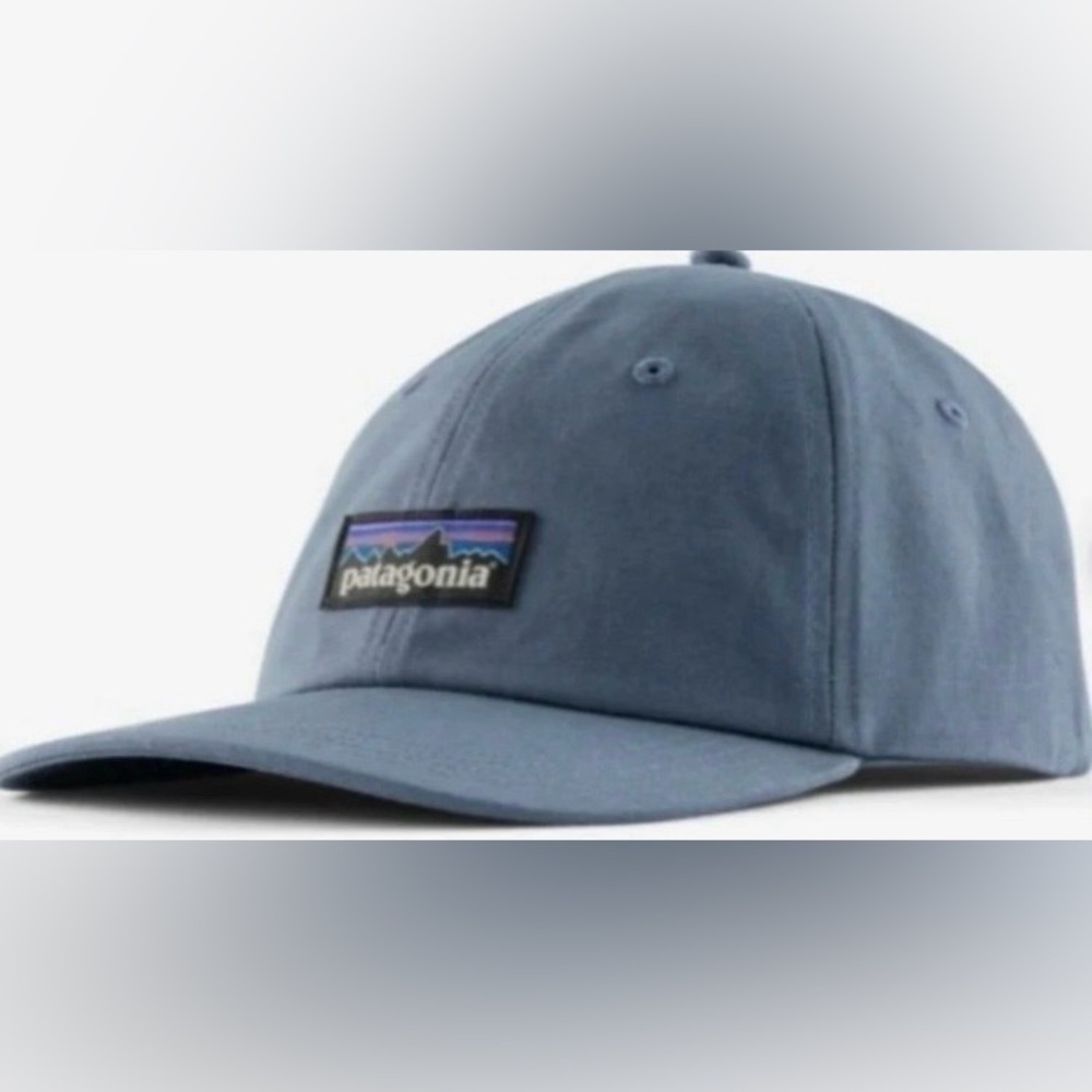Patagonia Blue Adjustable Cap